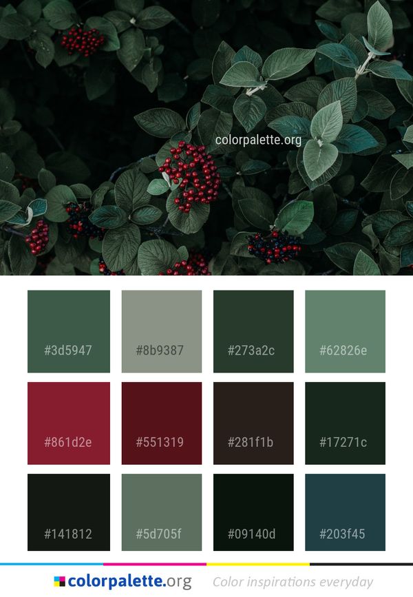 Plant Flora Leaf Color Palette