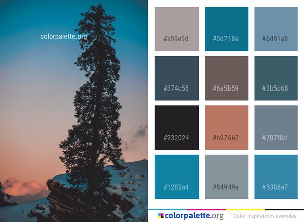 Sky Tree Nature Color Palette