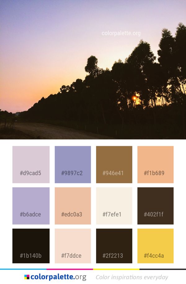 Sky Tree Sunrise Color Palette