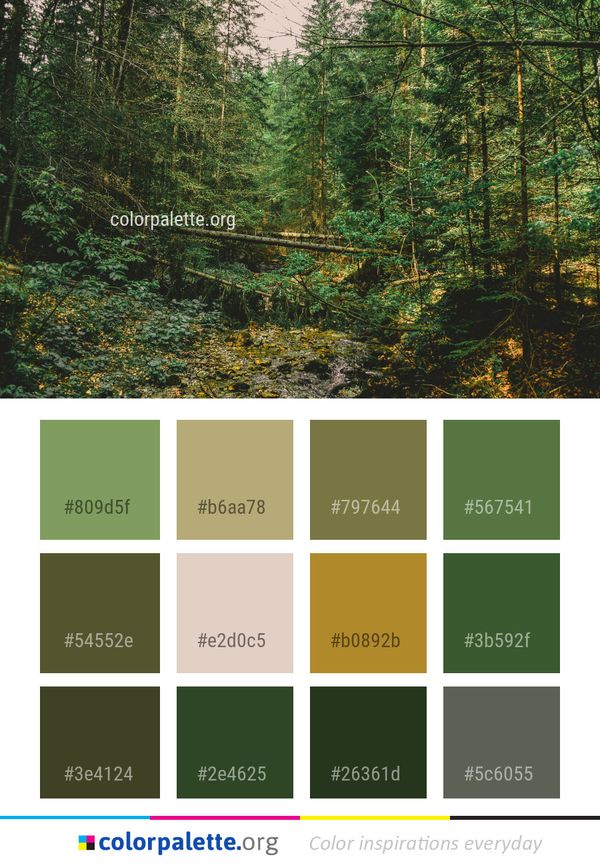 Vegetation Ecosystem Nature Color Palette