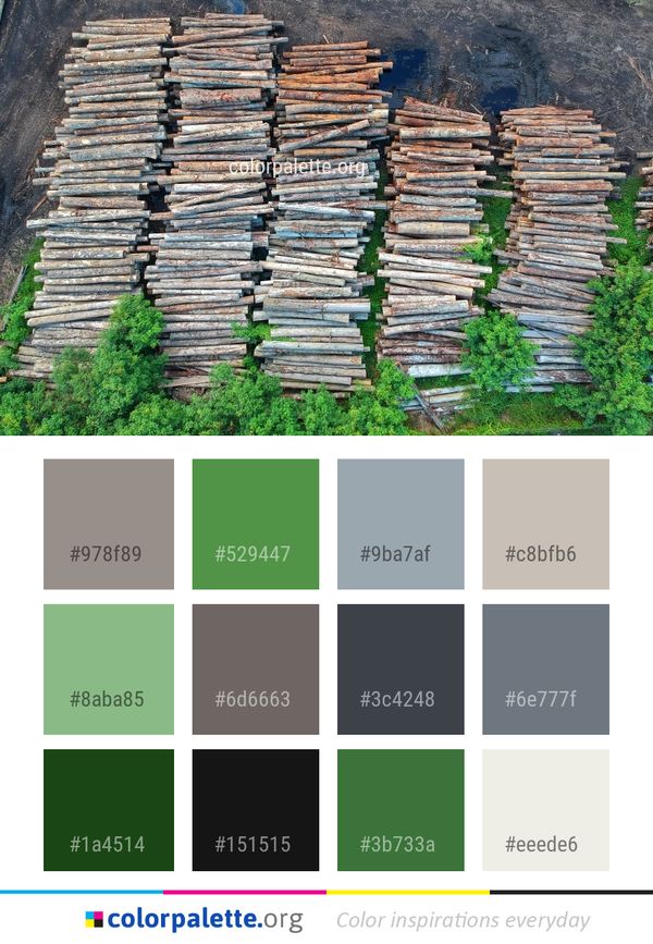 Wood Stone Wall Color Palette