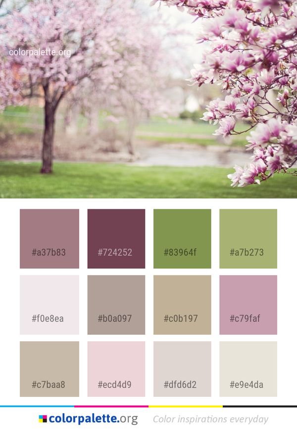 Blossom Pink Flower Color Palette