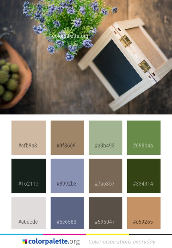 Blue Flower Plant Color Palette