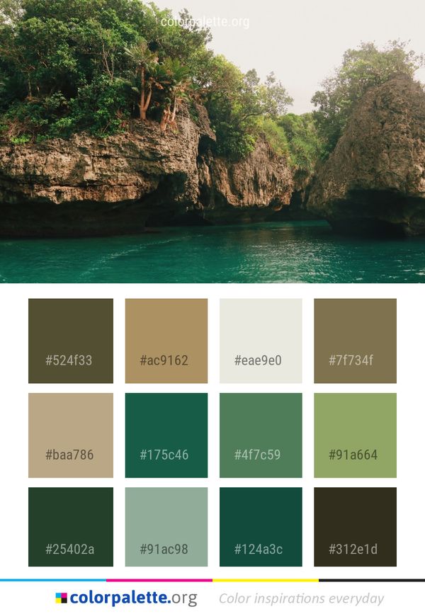 Body Of Water Nature Reserve Vegetation Color Palette