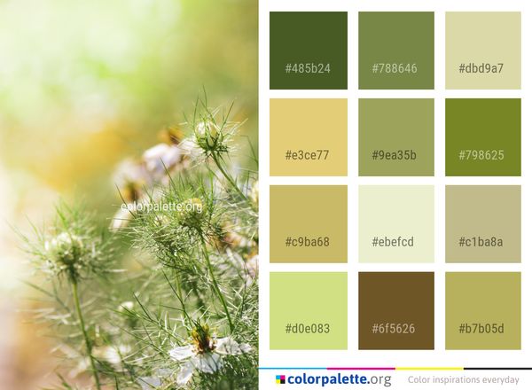 Flower Vegetation Flora Color Palette