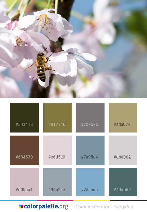 Flower White Blossom Color Palette