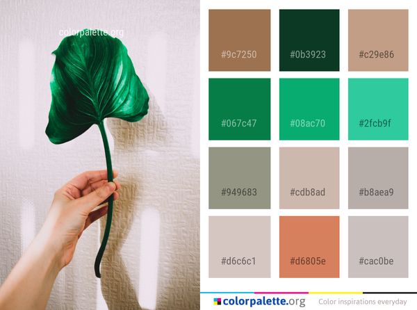 Green Leaf Flower Color Palette