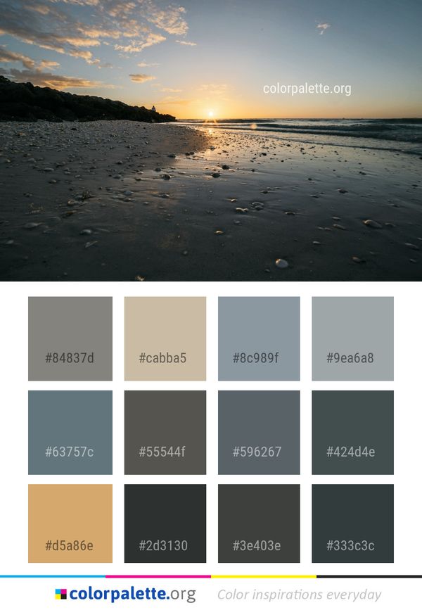 Sea Sky Shore Color Palette