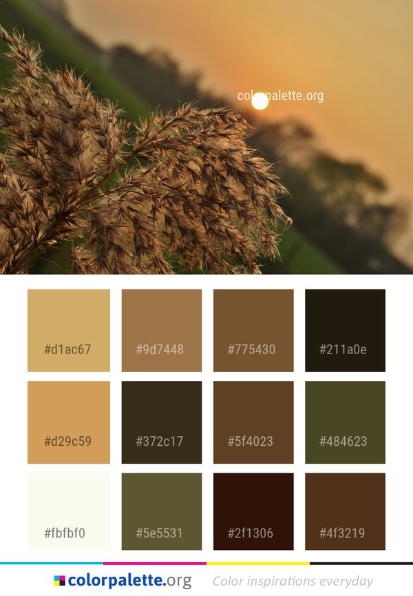 Branch Close Up Tree Color Palette