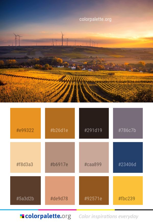 Field Sky Dawn Color Palette