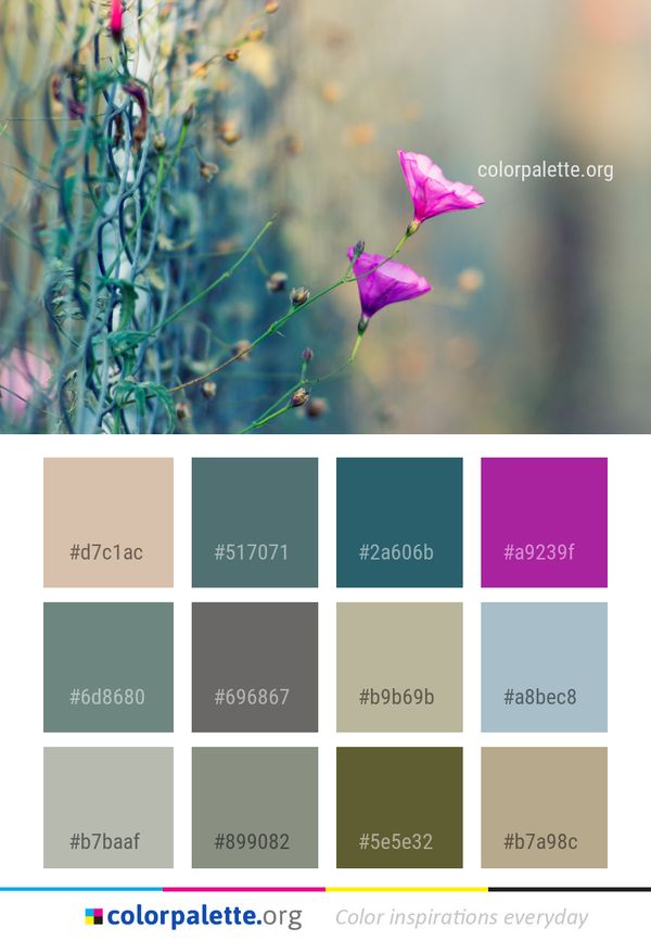 Flower Flora Pink Color Palette