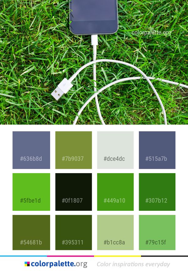 Grass Plant Family Color Palette