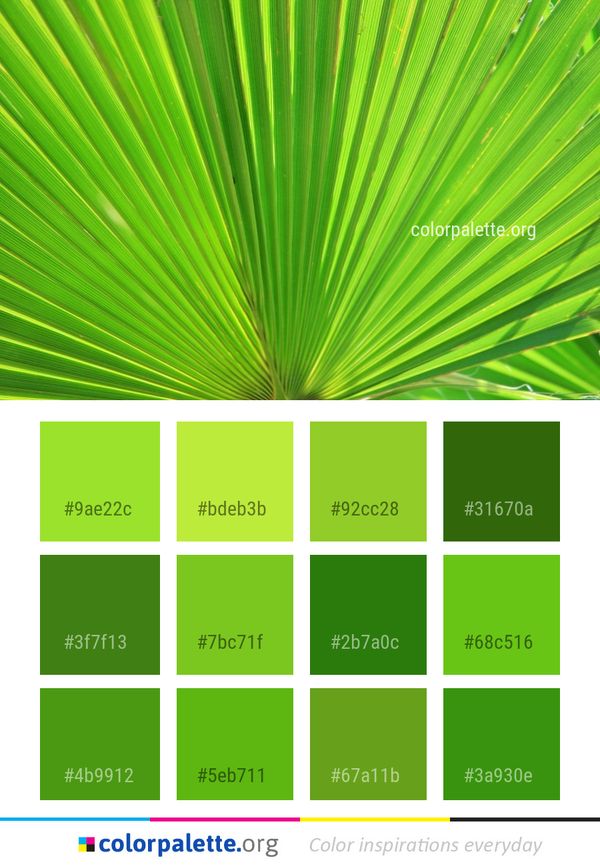 Leaf Green Plant Color Palette