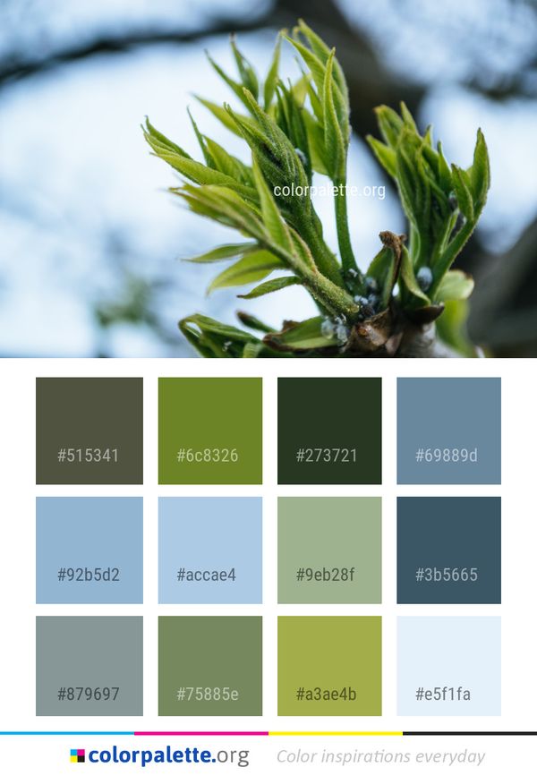 Leaf Plant Branch Color Palette