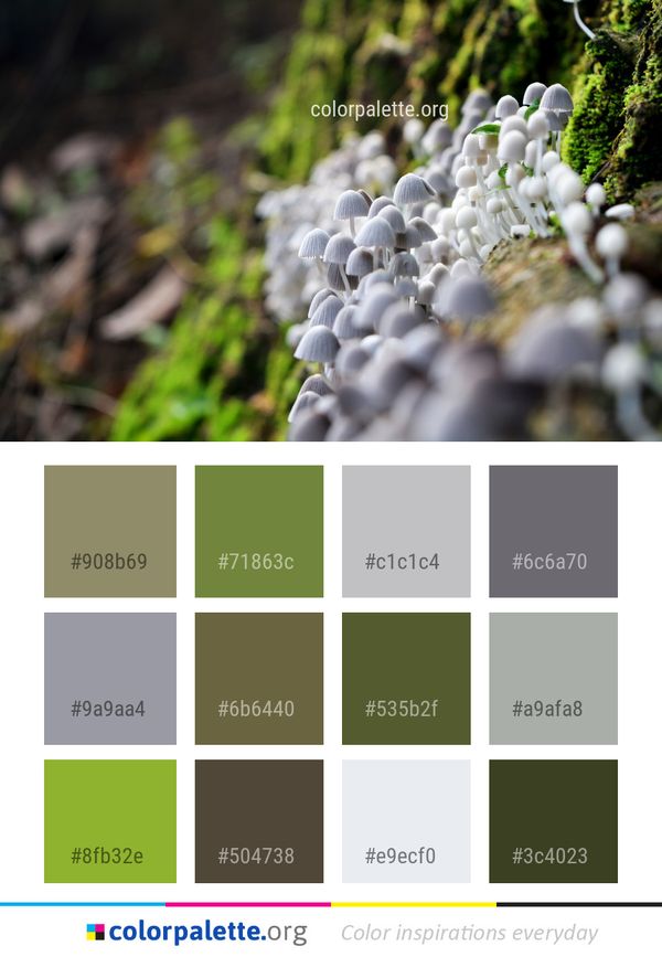 Plant Flora Spring Color Palette
