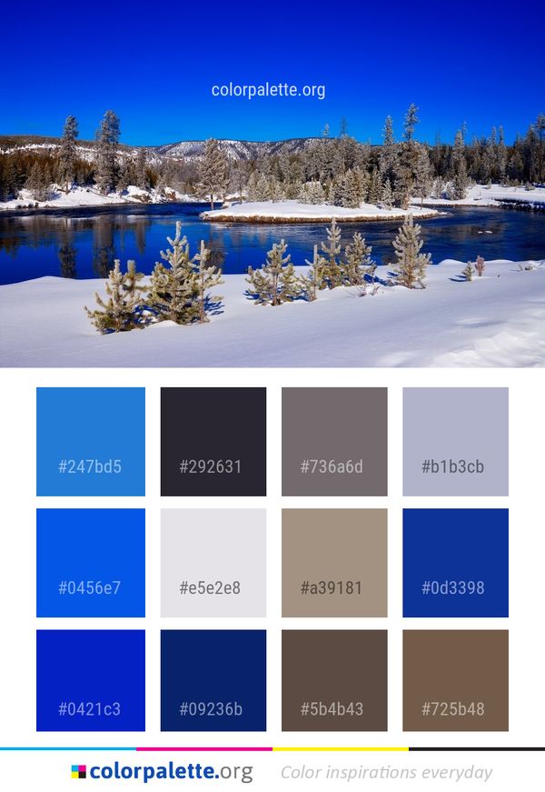 Snow Winter Water Color Palette
