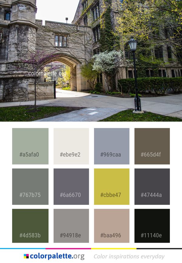 Tree Neighbourhood Wall Color Palette