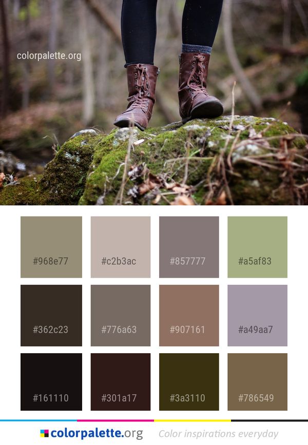 Tree Woodland Forest Color Palette