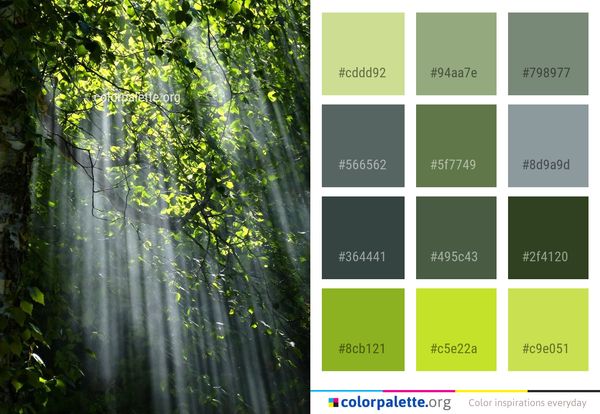 Water Nature Green Color Palette