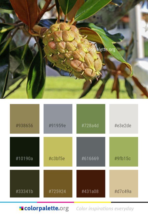 Ananas Fruit Plant Color Palette