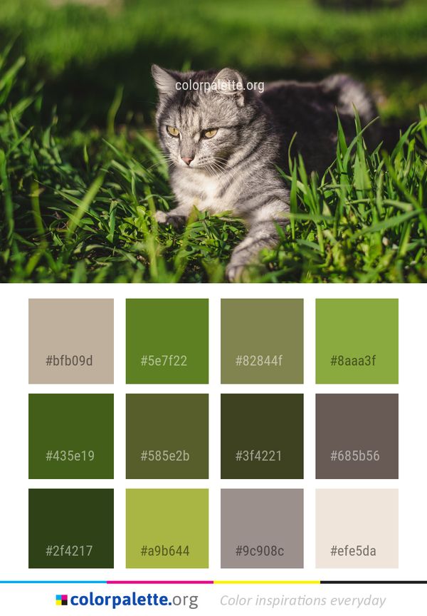 Cat Green Whiskers Color Palette