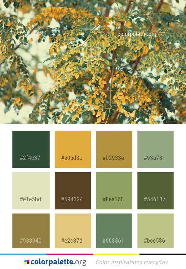 Flora Branch Leaf Color Palette