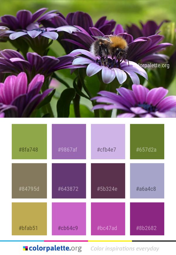 Flower Bee Purple Color Palette