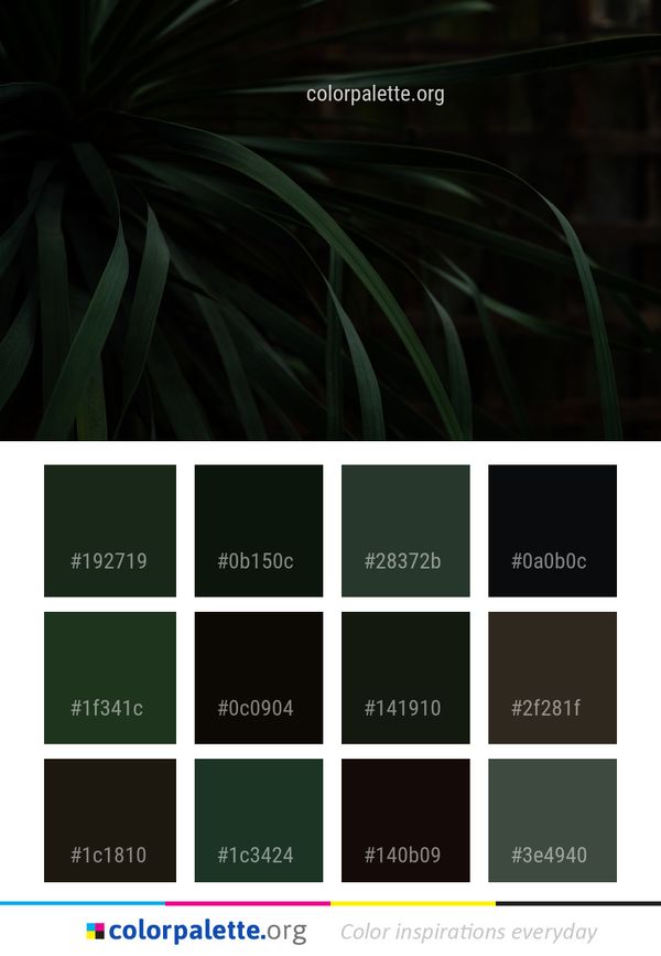 Green Leaf Flora Color Palette