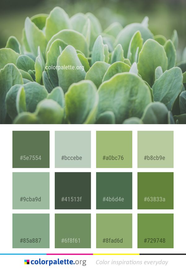 Green Vegetation Plant Color Palette