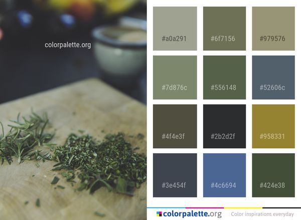 Herb Recipe Ingredient Color Palette