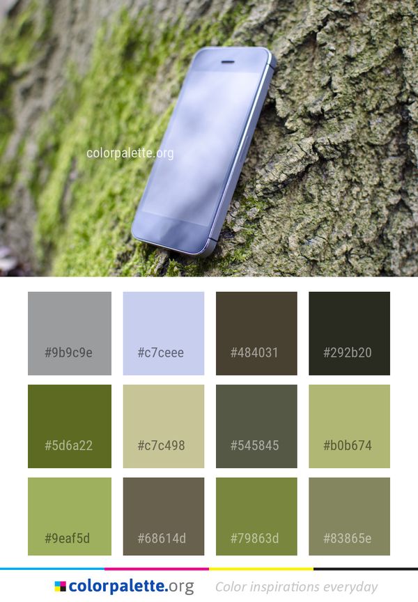 Mobile Phone Technology Gadget Color Palette