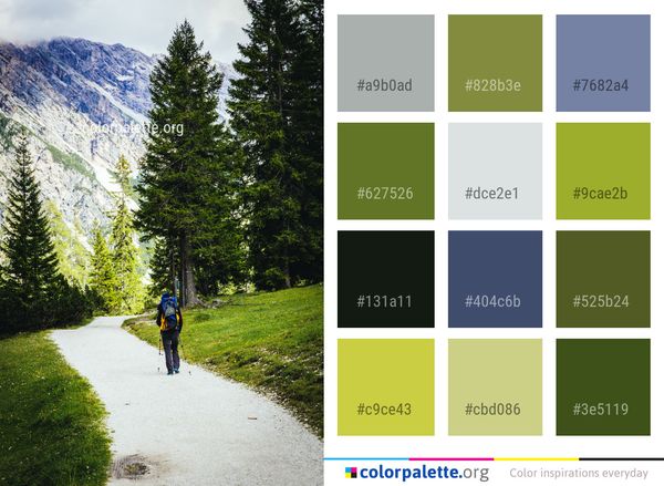 Nature Path Wilderness Color Palette