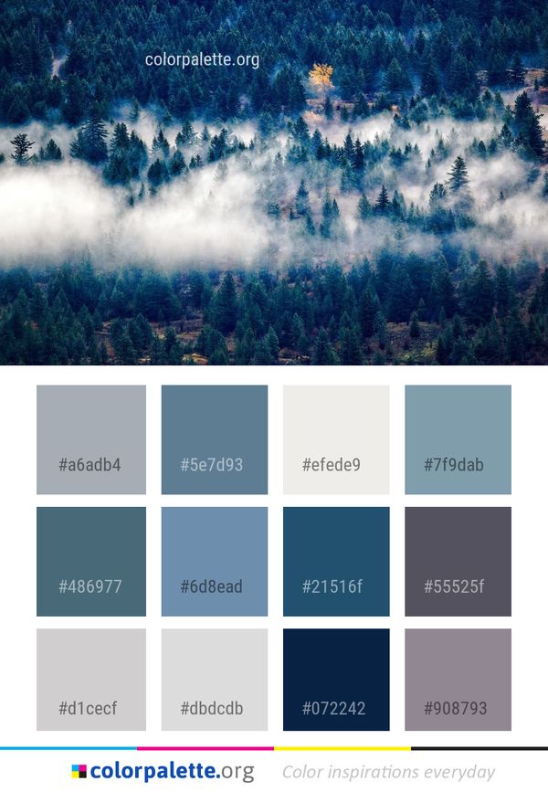 Sky Nature Tree Color Palette
