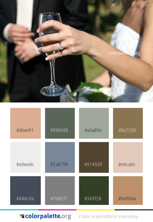 Stemware Drink Wine Glass Color Palette