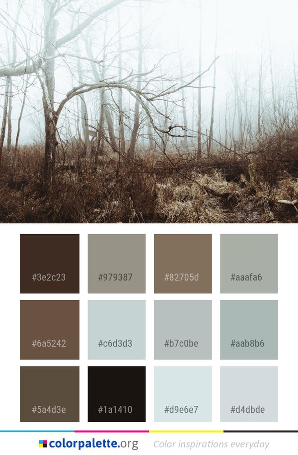 Tree Fog Ecosystem Color Palette