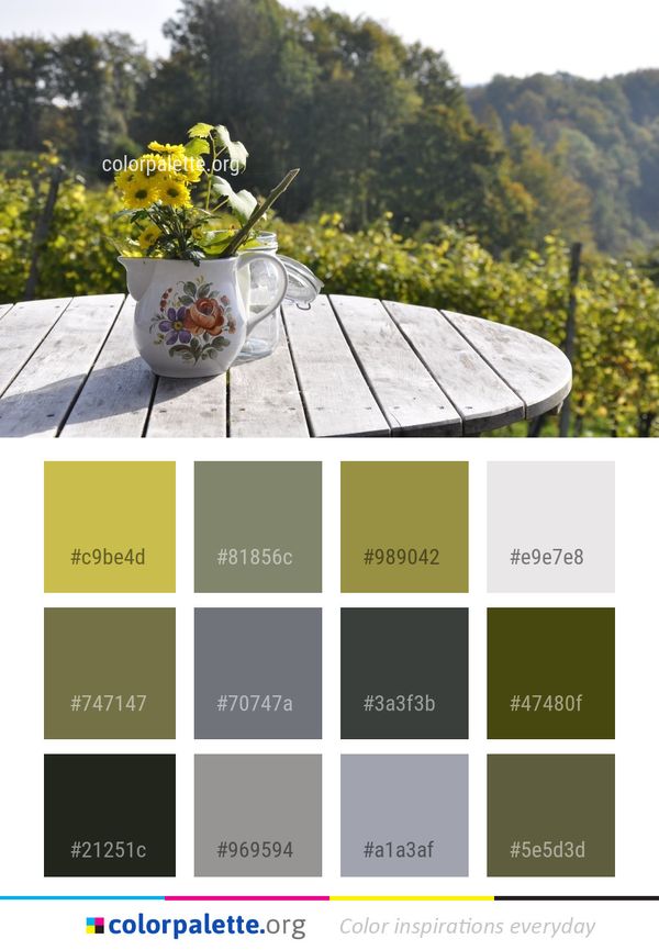 Yellow Flower Flora Color Palette
