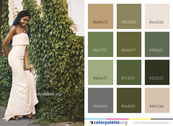 Gown Dress Photo Shoot Color Palette
