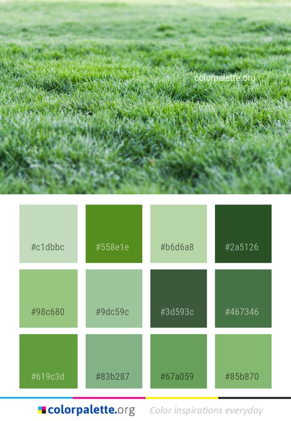 Grass Green Lawn Color Palette