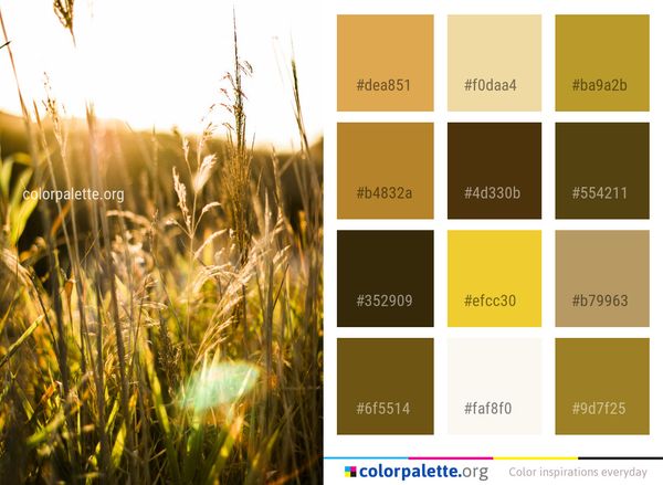 Grass Vegetation Field Color Palette