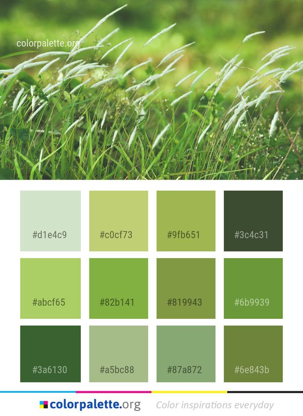 Grass Vegetation Family Color Palette