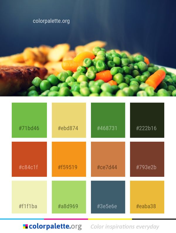 Natural Foods Vegetable Food Color Palette