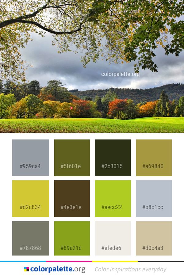 Nature Leaf Autumn Color Palette