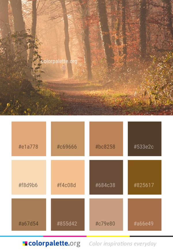 Nature Woodland Forest Color Palette