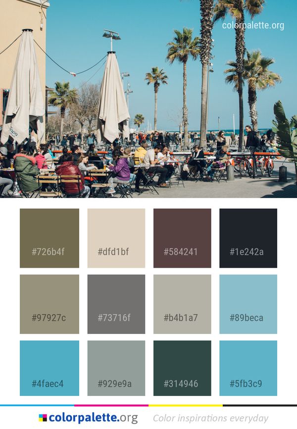Tree Water Sky Color Palette