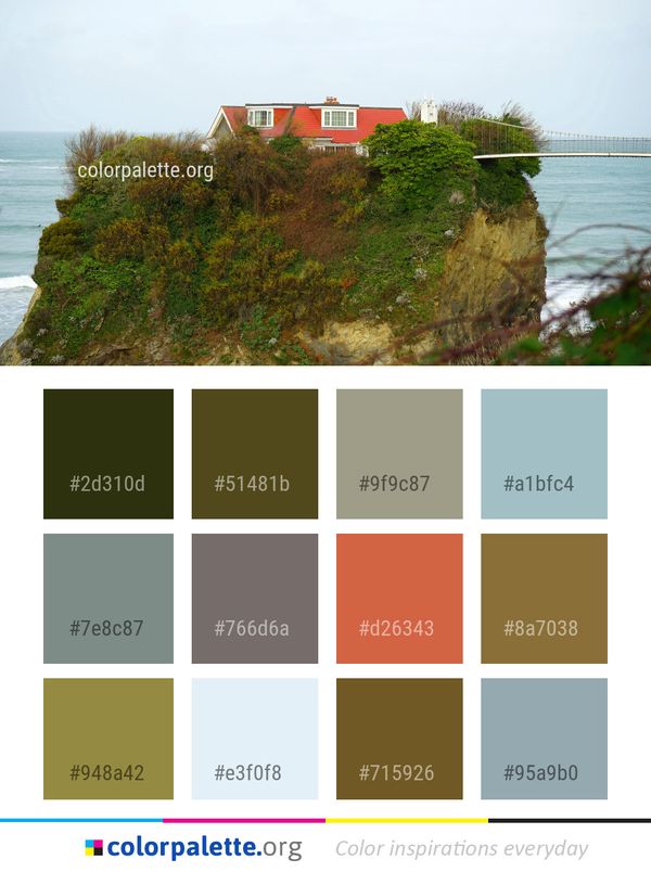 Coast House Tree Color Palette