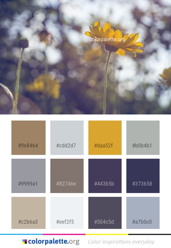 Flower Yellow Flora Color Palette