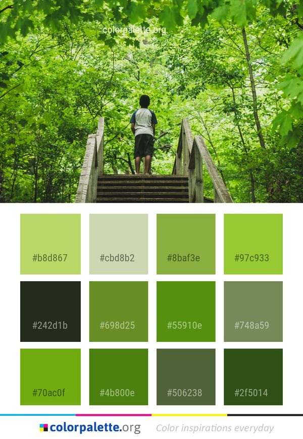 Green Nature Tree Color Palette