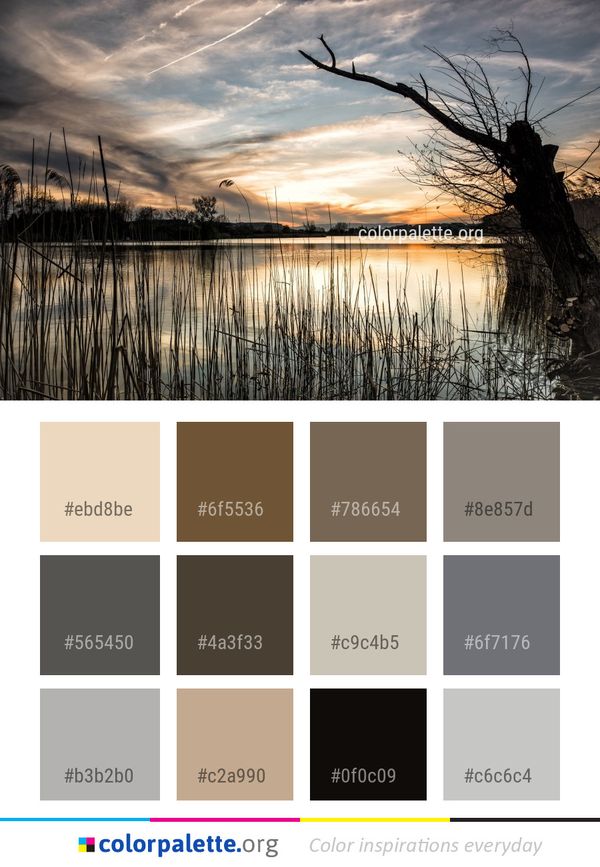 Reflection Sky Water Color Palette
