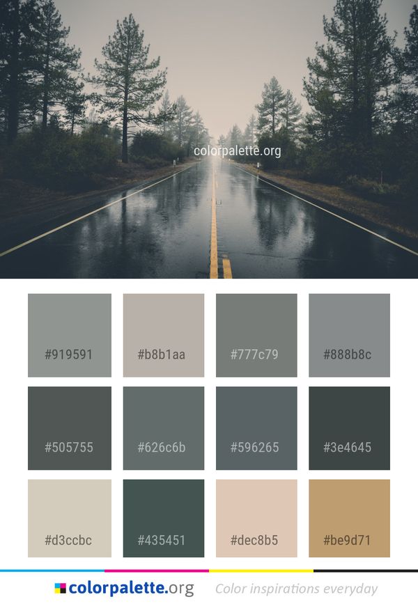 Road Reflection Waterway Color Palette