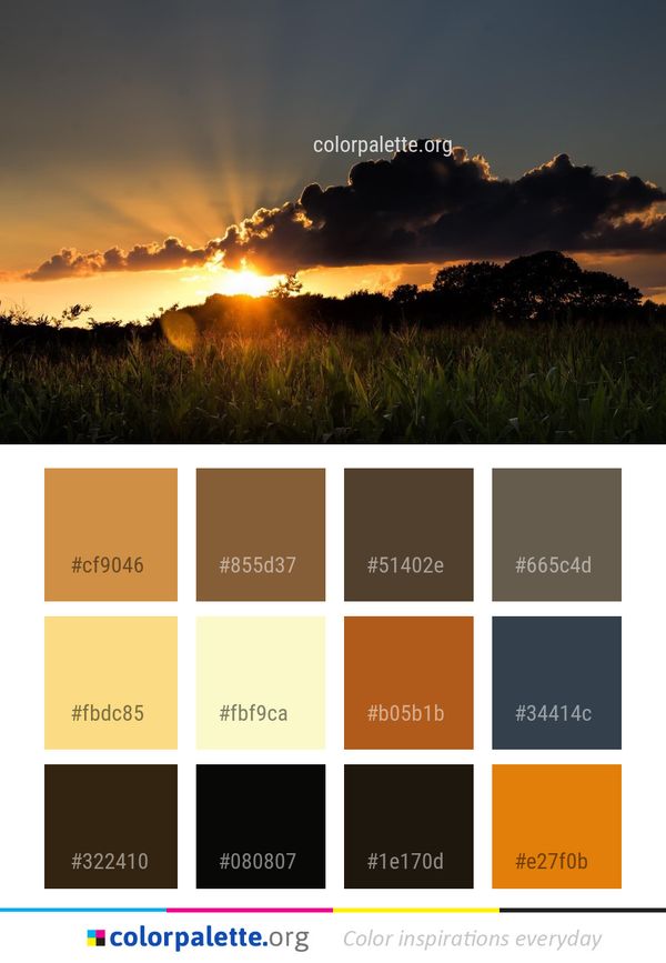 Sky Cloud Atmosphere Color Palette